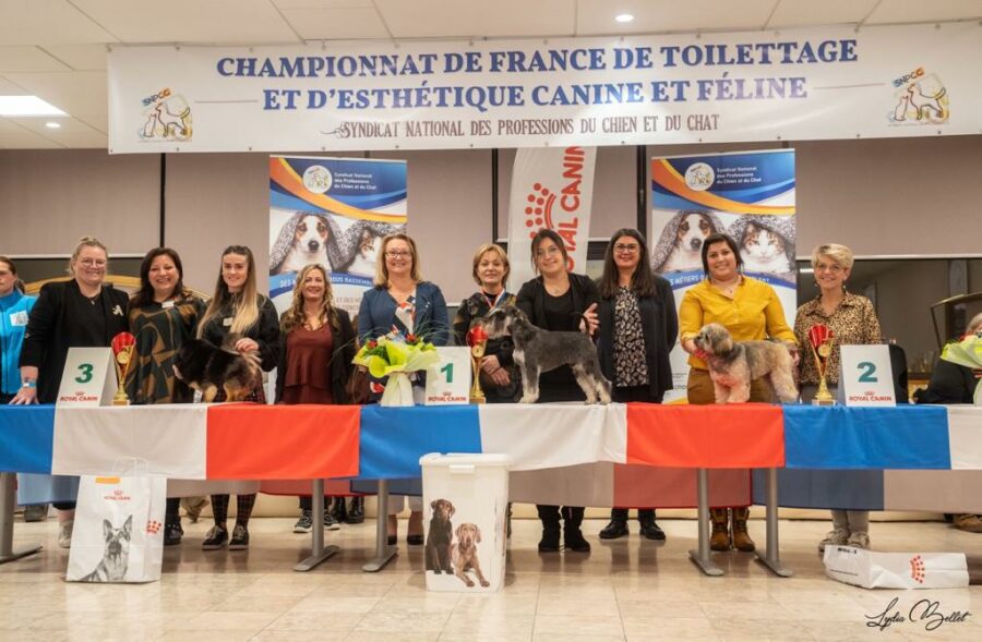 Salon de toilettage pour chien Lyon - Canicoiff